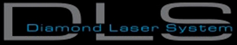 DLS Logo